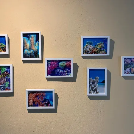 Océano Aparts Cancún Exterior foto
